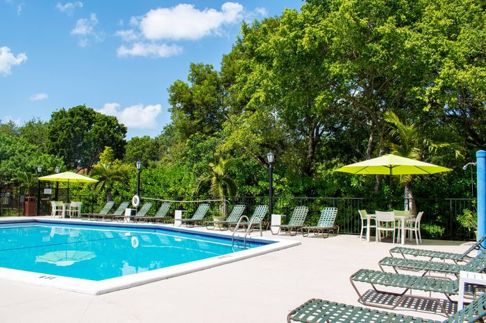 Inviting outdoor pool area surrounded by lush greenery, featuring comfortable loungers and vibrant umbrellas for a perfect relaxing day.