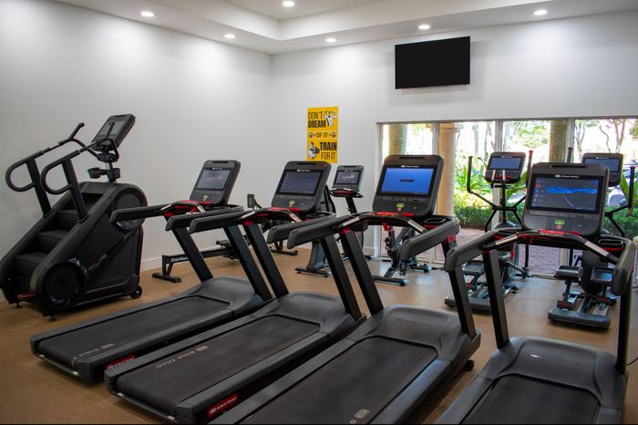 Modern fitness center featuring state-of-the-art treadmills and a stair climber, bright and welcoming atmosphere with large windows.