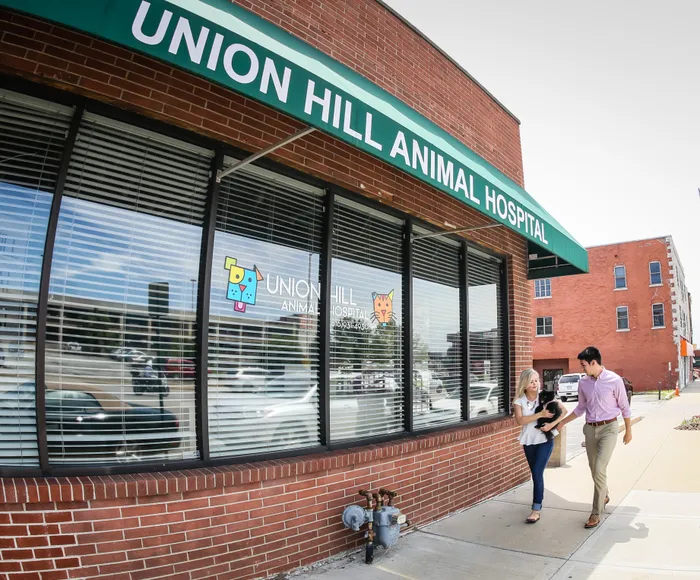 Animal Hospital | Union Hill on Main | Kansas City, MO Apartments