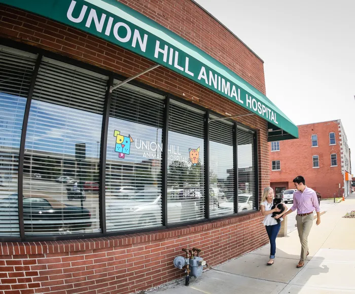 Animal Hospital | Luxe at Union Hill | Kansas City, MO Apartments