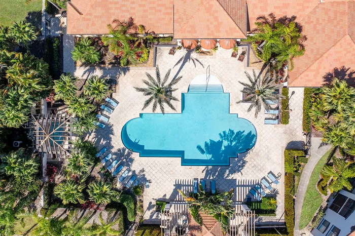 Aerial view of a luxurious resort-style swimming pool surrounded by palm trees and sun loungers, offering an oasis of relaxation and tropical elegance.