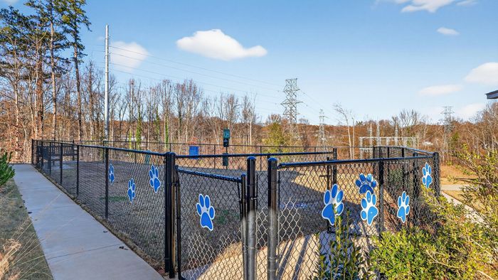 Inviting fenced dog park adorned with charming blue paw prints, surrounded by scenic natural views.