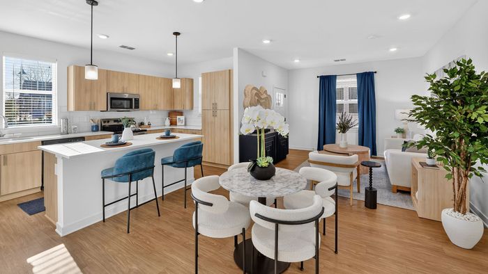 Chic open-concept apartment with a modern kitchen, elegant dining area, and cozy living space adorned with vibrant greenery and natural light.