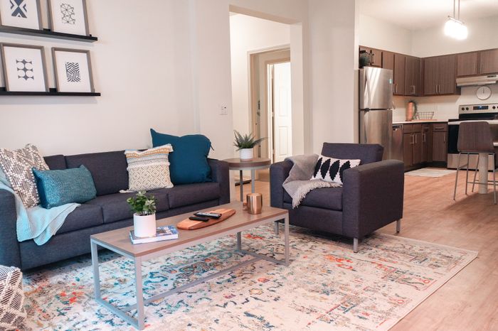 Luxurious Living Room | Apartment Homes in Clemson, SC | Clemson Edge