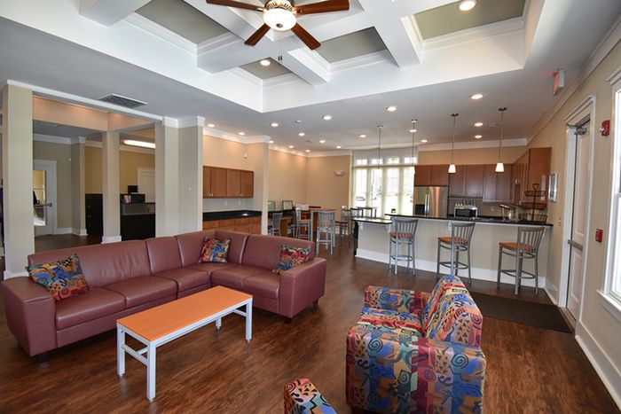 Luxurious Living Room | Apartment Homes in Spartanburg, SC | Valley Falls