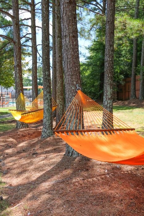 Outdoor Relaxation Hammocks | Apartment Homes in Clemson, SC | Clemson Edge