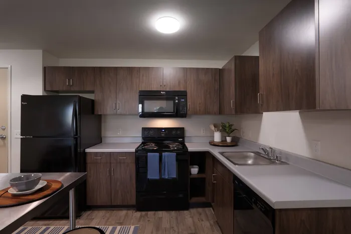 Modern kitchen  in student apartment at Tech Village.