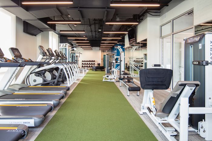Gym