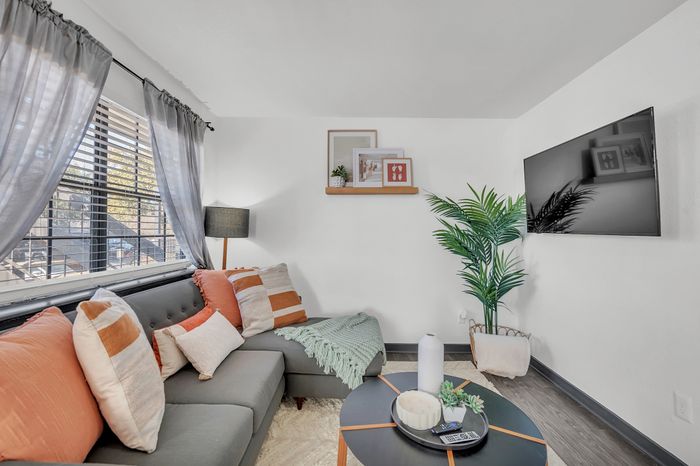 Inviting living room with a stylish gray sectional sofa, adorned with colorful pillows, a sleek coffee table, a flat-screen TV, and a refreshing indoor plant.