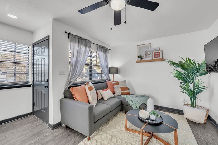 Bright living room with a stylish grey sofa, accent pillows, modern coffee table, and lush green plant.