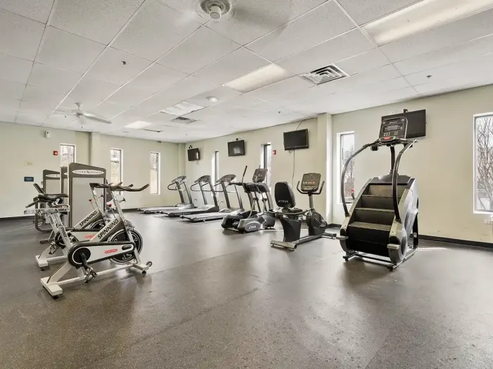 Gym Cardio Equipment