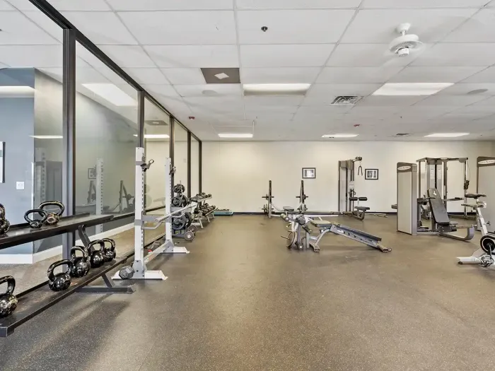 Gym Weights