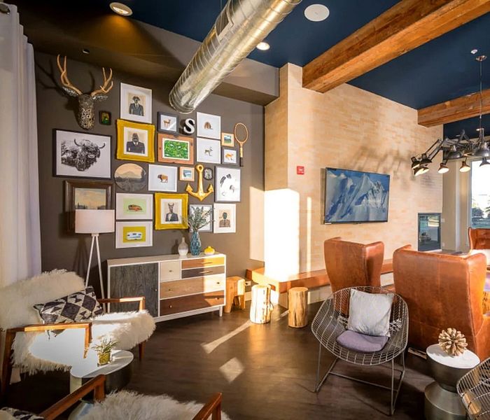 Chic living area with artistic wall gallery, cozy seating, and stylish decor bathed in warm sunlight.