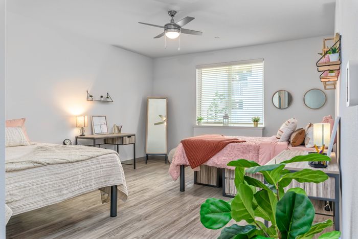 Bedroom with fan, plenty of light in an apartment Merced Station, CA.