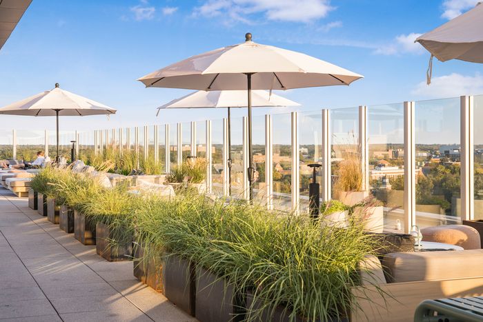 Rooftop Lounge | The Abbot | MSU Apartments