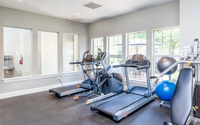 Modern fitness room with treadmills, elliptical, and exercise balls, basking in natural light from large windows.