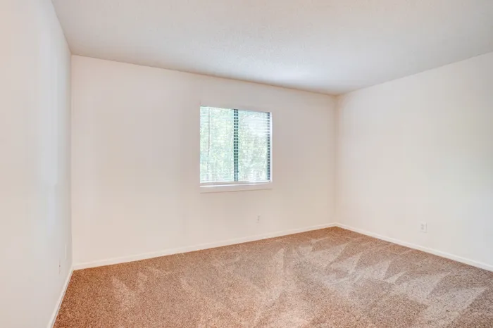 Bright and airy room with soft carpet and a window providing natural light, ideal for a cozy bedroom or serene office space.
