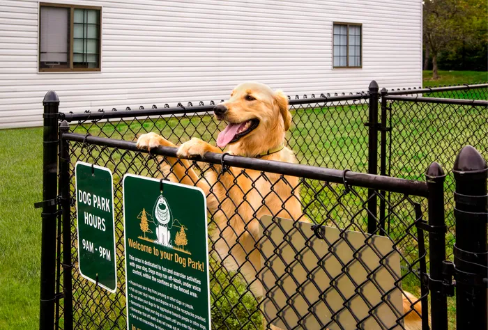 Pet Friendly Apartments in Grand Rapids, MI