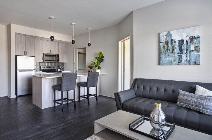 Open-concept living room and kitchen with modern furniture and finishes