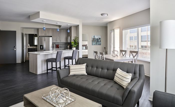 Contemporary living room with gray sofa and large windows