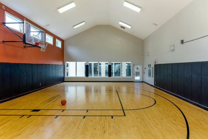Basketball Court