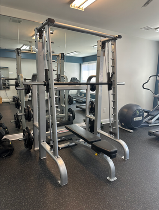 Modern fitness room featuring a sleek Smith machine and workout equipment, perfect for a dynamic exercise routine.