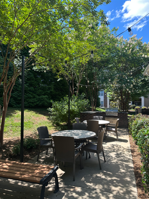 Charming outdoor seating area with elegant chairs and tables surrounded by lush greenery and string lights.