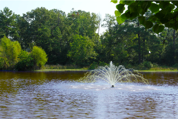 Lakefront Apartments, Shreveport, Louisiana