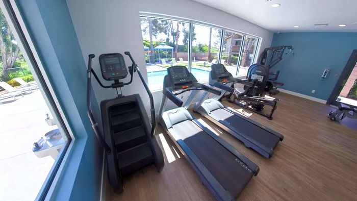 Modern fitness center with state-of-the-art exercise equipment, large windows overlooking a serene pool area, and stylish flooring.