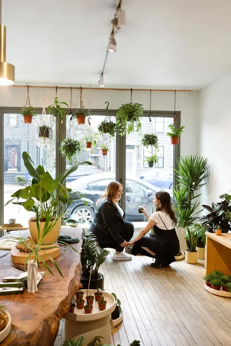 Photo from local plant shop, Stump, in German Village