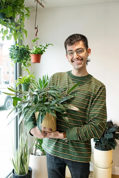 Photo of local plant shop, Stump, Store Manager, Sebastian