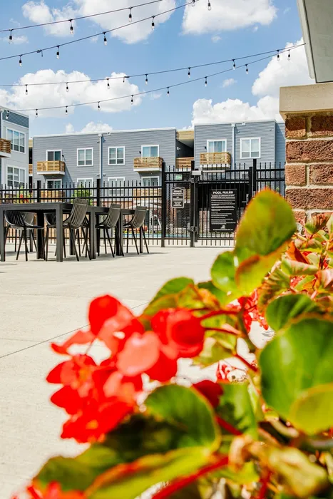 No matter what your lifestyle is, Liberty Flats will keep you plugged into the mix. Enjoy a dip in the resort-style pool or stay home and chill with your dogs or cats, we are pet-friendly after all!