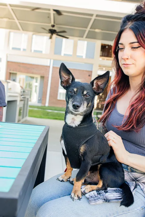 Pet friendly apartment community in Clintonville, Ohio near downtown Columbus.