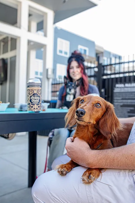 Pet friendly apartment community in Clintonville, Ohio near downtown Columbus.