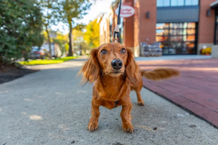 Park Monroe Neighborhood