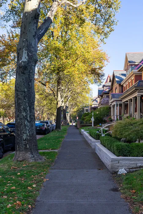 Park Monroe Neighborhood