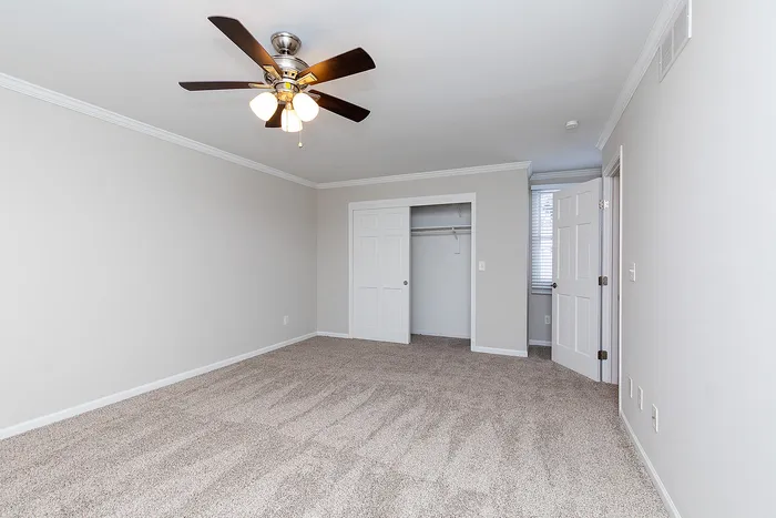 Three Bedroom Apartment