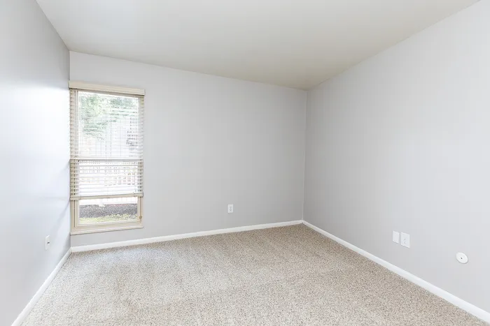 One Bedroom