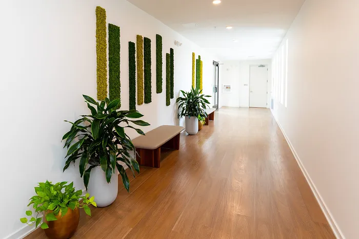 Moss Wall