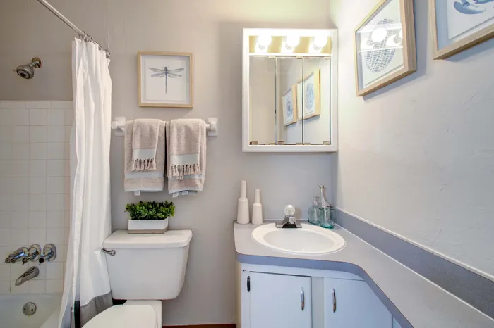 Charming bathroom with elegant lighting, framed dragonfly artwork, and sleek modern fixtures.