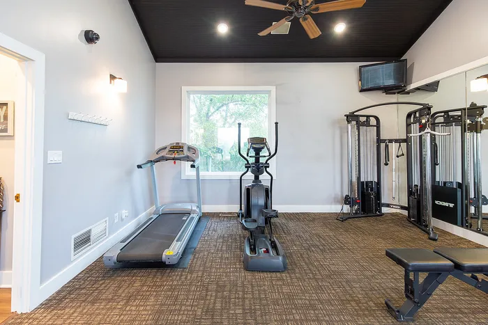 Modern home gym with top-notch equipment including a treadmill, elliptical, and multi-gym machine in a bright space with a ceiling fan.