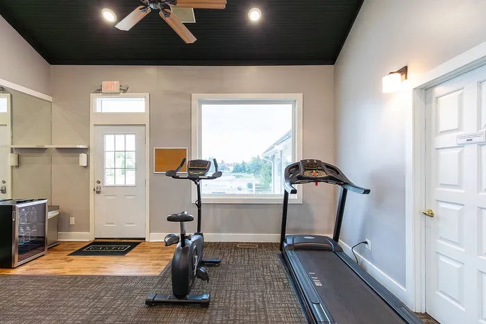 Bright and modern fitness room with professional treadmill, exercise bike, and large window overlooking scenic views.