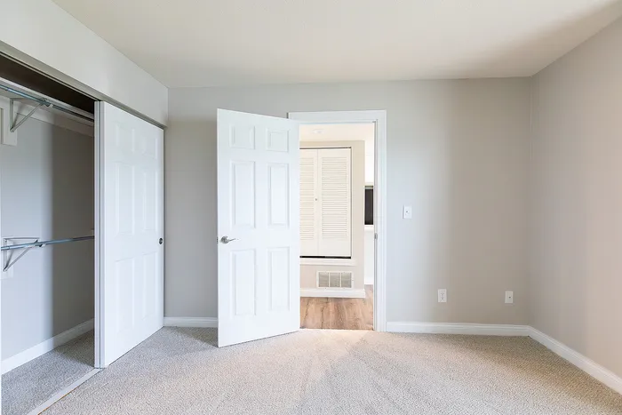 Bright room with soft carpet flooring and open closet, featuring sleek white doors and modern gray walls, creating a spacious and inviting atmosphere.
