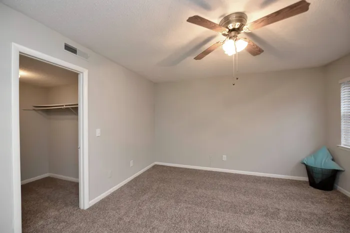 Owner's Suite with walk-in