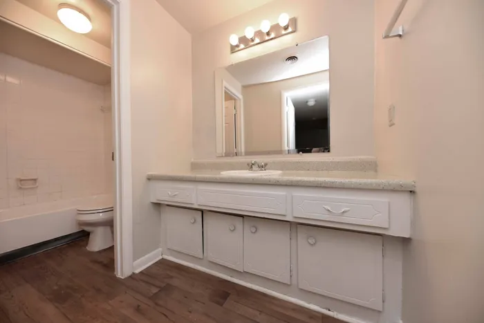 vanity sink-bathroom
