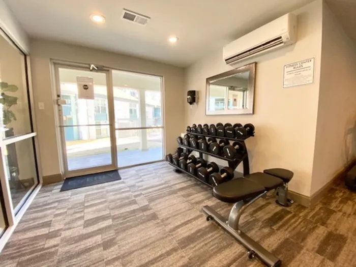 Everly Gym- Free Weights