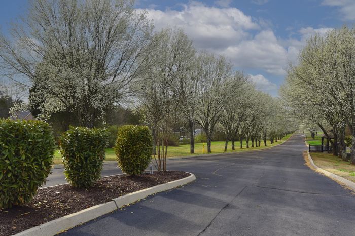 Apartments in Knoxville, TN
