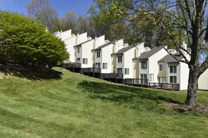 The Rosemont