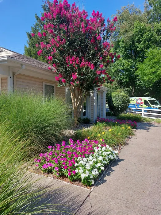 Apartments in Louisville