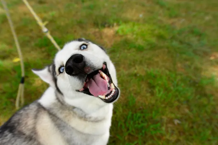Park on Country Club